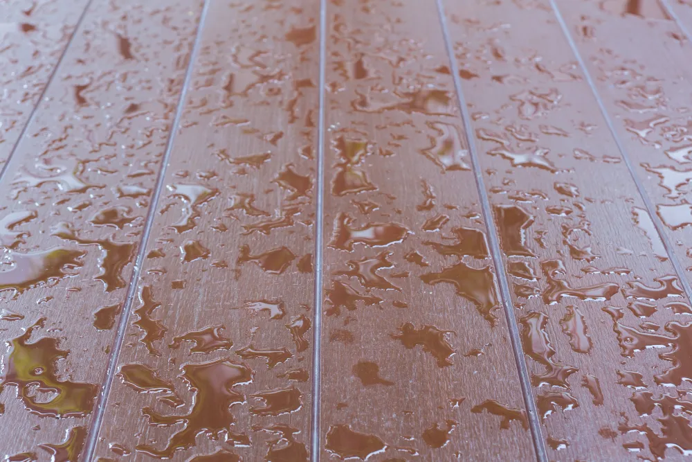 Floor Cleaning Services